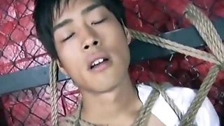 China Twink Dicks 2